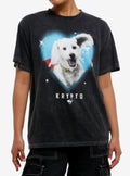DC Comics Superman Krypto Heart T-Shirt | Premium Unisex T-Shirt, Trending Graphic Tee