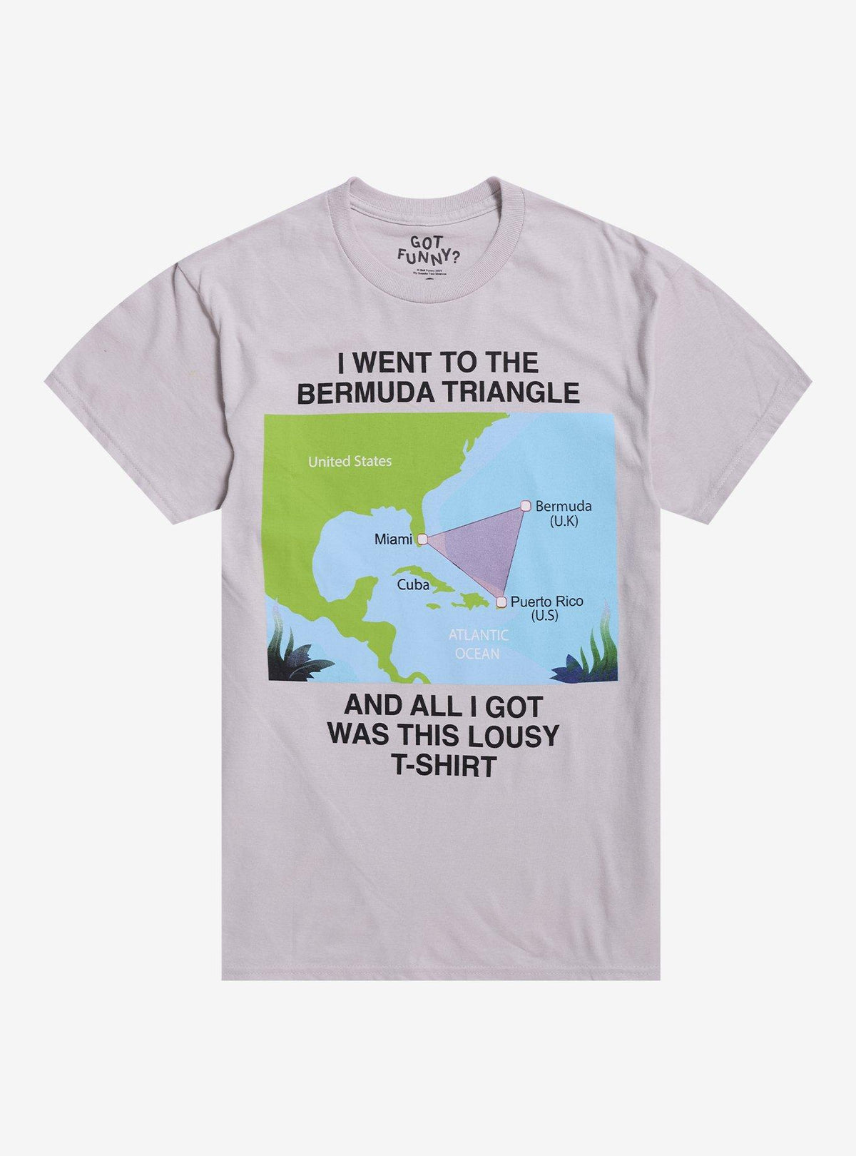 Bermuda Triangle Lousy T Shirt By Got Funny