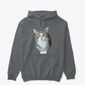 Just Winky Sweater