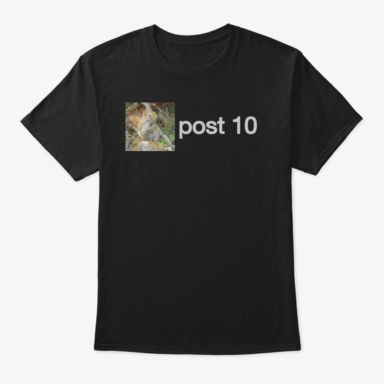 post 10 Squirrel Shirt | Premium Unisex T-Shirt, Trending Graphic Tee