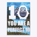 You Are A Perfect 10