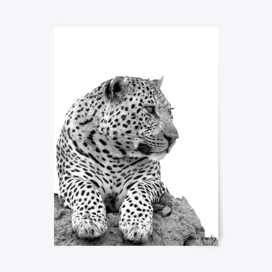 Hukumuri | Premium Unisex T-Shirt, Trending Graphic Tee