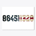 864511320 Stars and Stripes