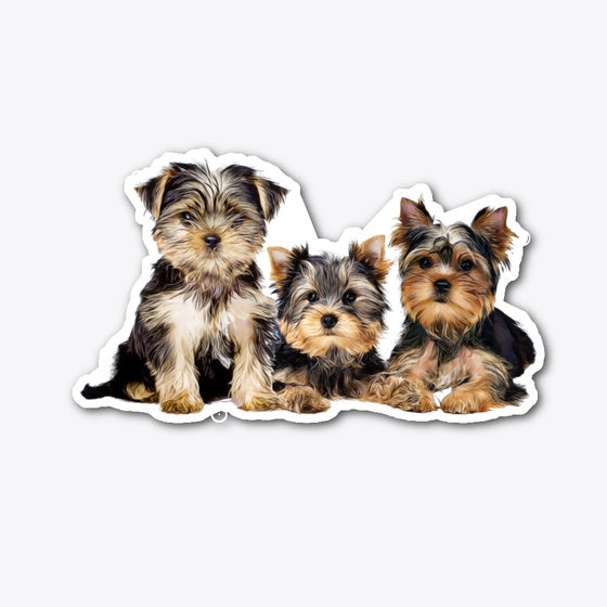 SHN 7 Paw over Yorkshire Terrier die cut | Premium Unisex T-Shirt, Trending Graphic Tee