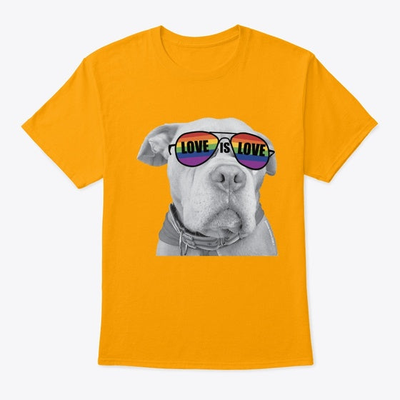 Love Is Love Roo Swag