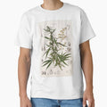 Cannabis Sativa - french botanical entry  Classic T-Shirt for Sale by Speightsmate