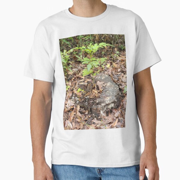 Seedling and Stump Classic T-Shirt for Sale by RLobinske