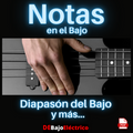 Notas del Bajo Apparel High Search Demand Hot Right Now